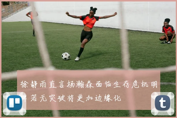 徐静雨直言杨瀚森面临生存危机明年若无突破将更加边缘化